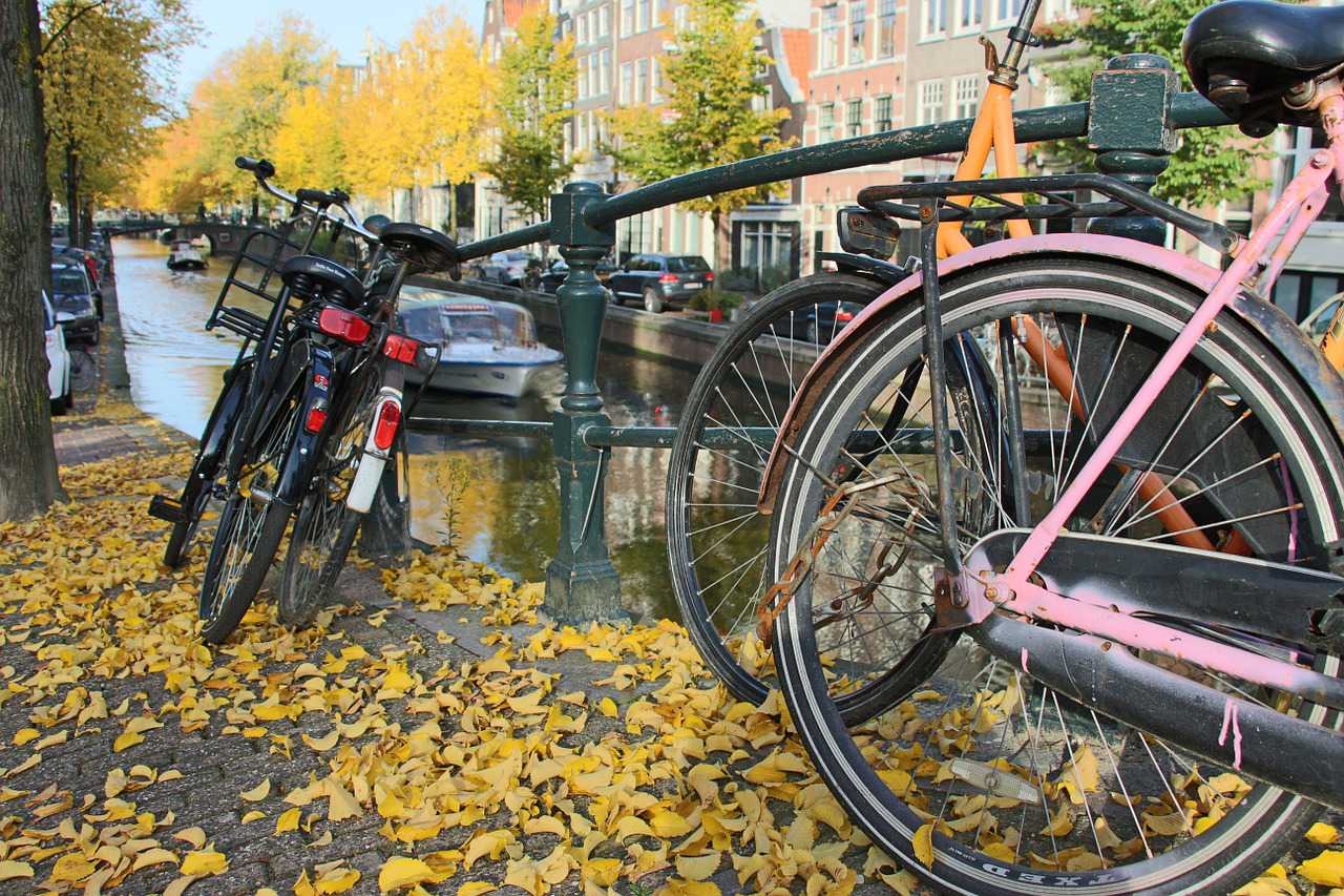 Амстердам осенью плюсы и минусы