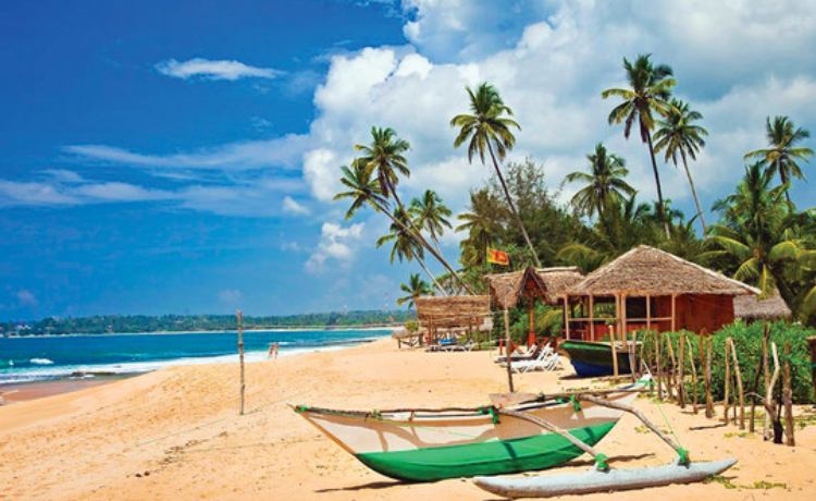 Власти Шри-Ланки прорабатывают вопрос введения бесплатных виз для туристов