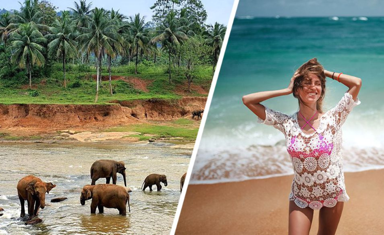 Шри-Ланка сделает визы бесплатными для туристов из России